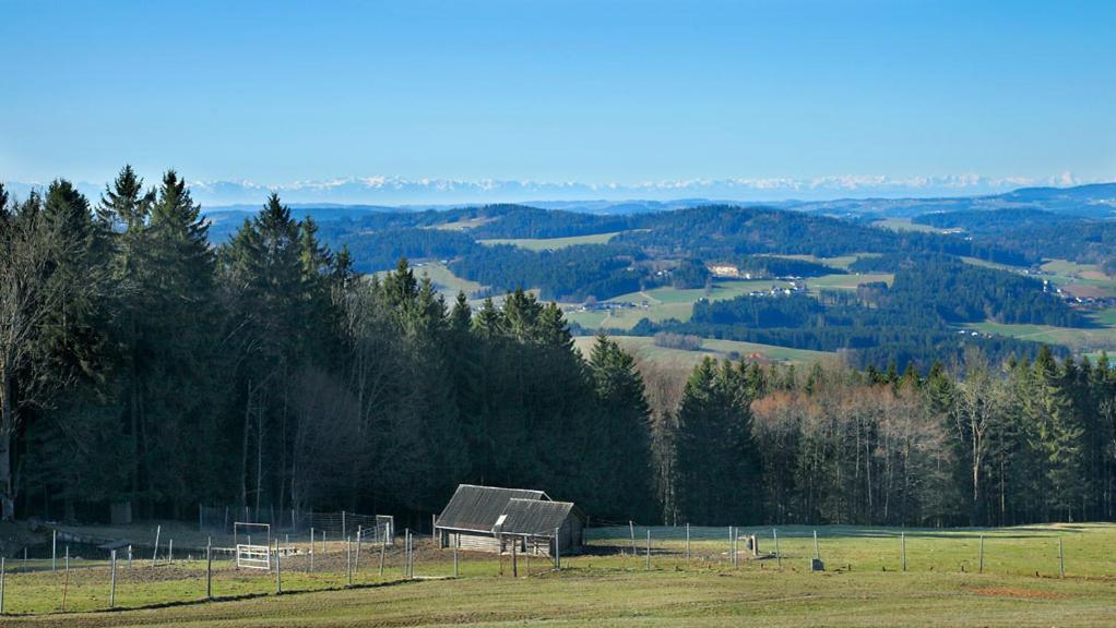 Landhotel Haagerhof Aigen im Muehlkreis Экстерьер фото